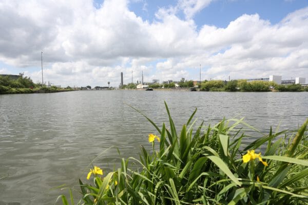 6 entreprises débuteront prochainement leurs travaux d&rsquo;implantation dans les parcs d&rsquo;activité du Coeur du Hainaut !