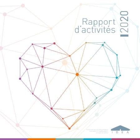 2020, une année ponctuée de faits marquants pour IDEA