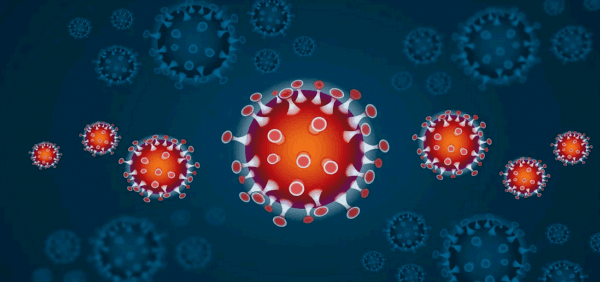 COVID-19 : IDEA adopte d&rsquo;importantes mesures visant à endiguer la propagation du virus