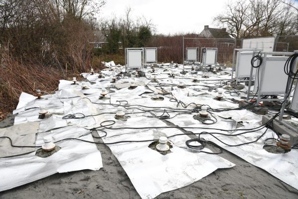 IDEA et la SPAQUE testent une technique innovante de gestion de la renouée du Japon à Colfontaine